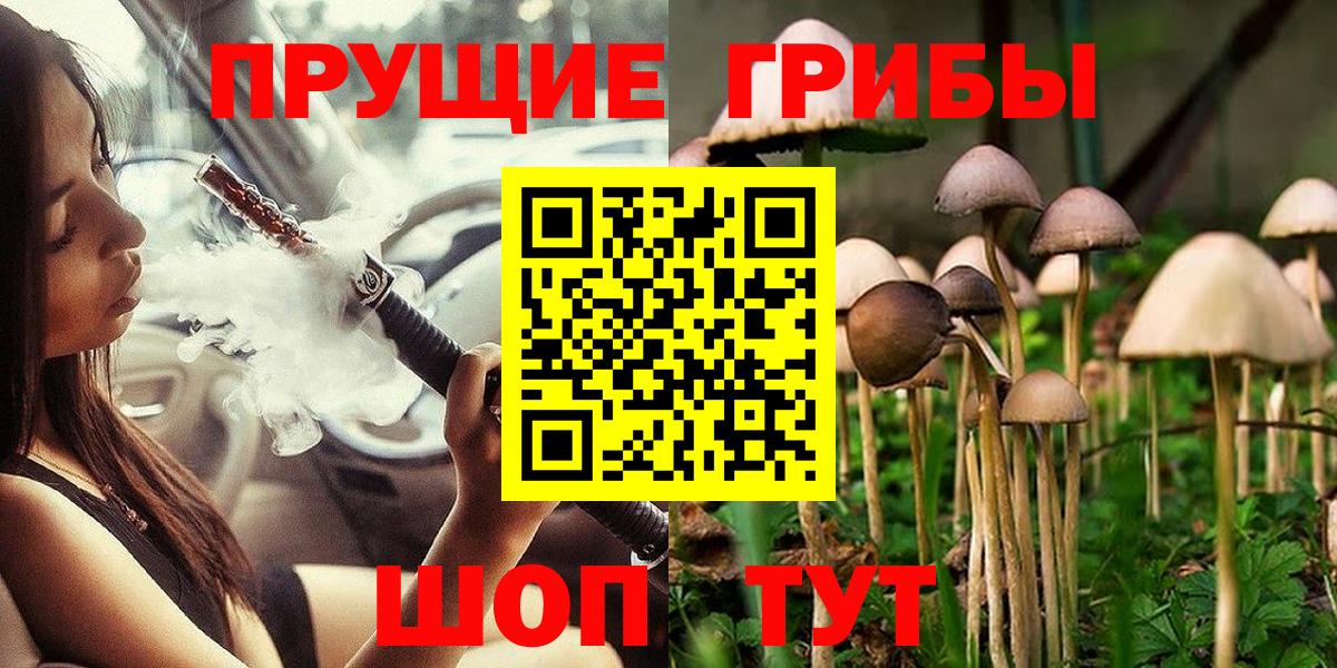 Псилоцибиновые грибы MAGIC MUSHROOMS  Псилоцибиновые грибы Magic Shrooms  Вход с VPN  где купить наркотик  Санкт-Петербург 